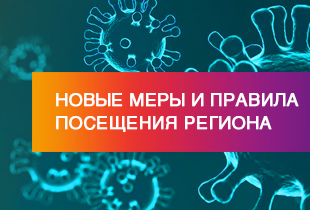 QR-коды и не только: новые дополнительные ограничения в Тульской области